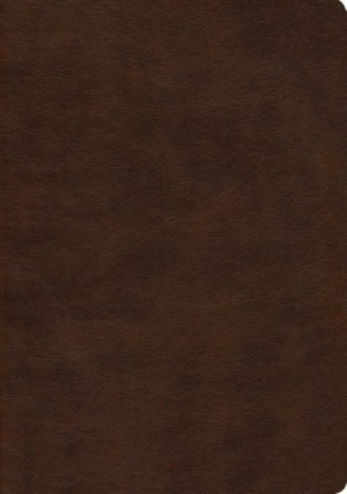 NASB 2020 Large Print Ultrathin Reference Bible, Brown