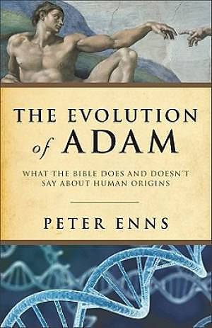 Evolution Of Adam