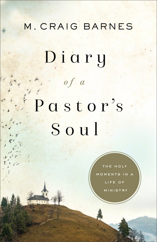 Diary of a Pastor's Soul: The Holy Moments in a Life of Ministry