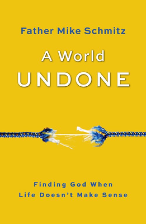 A World Undone: Finding God When Life Doesn't Make Sense