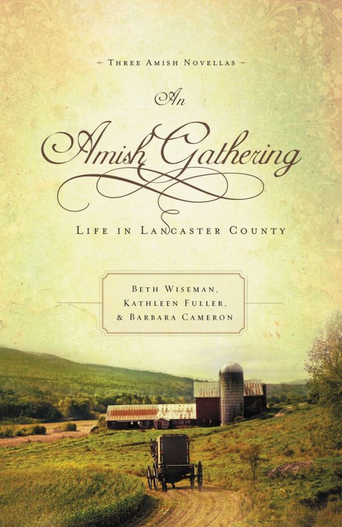 An Amish Gathering