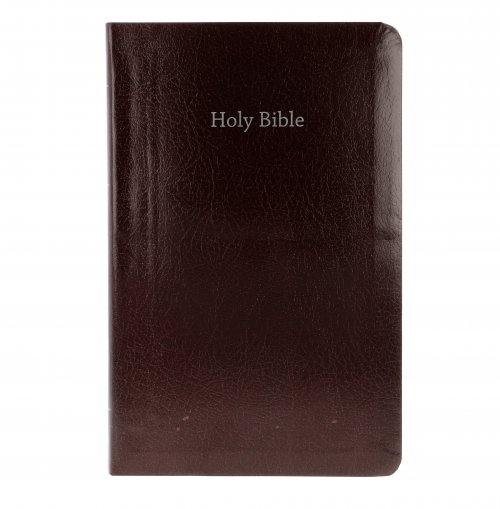 CEB Common English Bible Gift & Award Burgundy Red Letter Edition