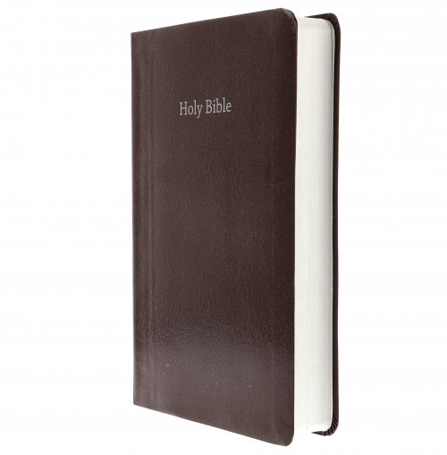 CEB Common English Bible Gift & Award Burgundy Red Letter Edition