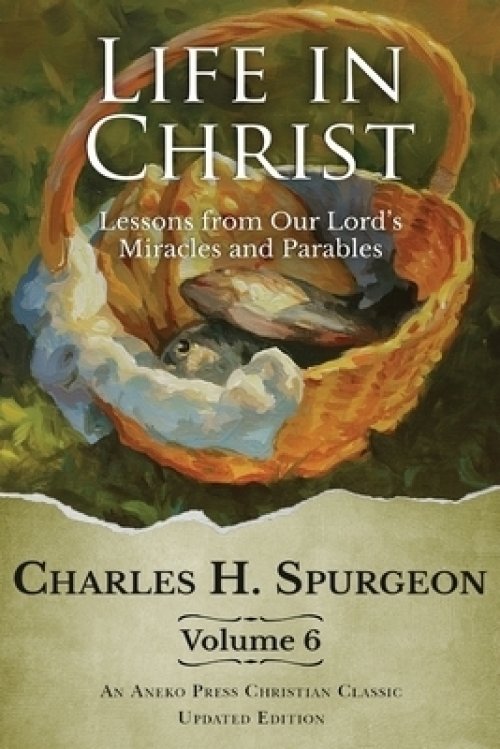 Life in Christ Vol 6: Lessons from Our Lord's Miracles and Parables