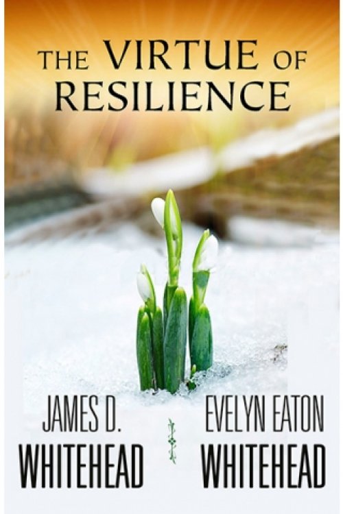 The Virtue of Resilience