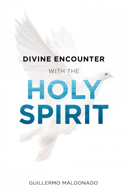 Divine Encounter With The Holy Spirit