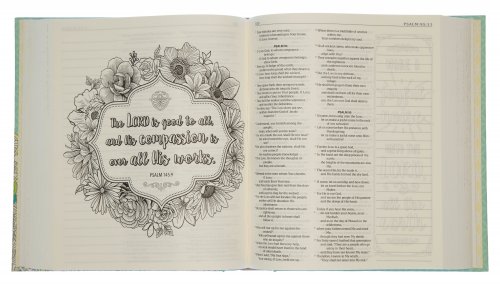 MEV Promises of God Creative Journaling Bible