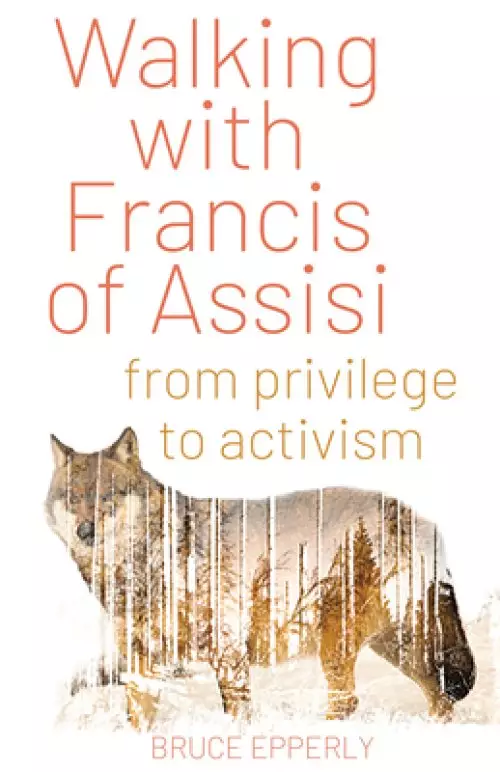 Walking with Francis of Assisi: From Privilege to Activism