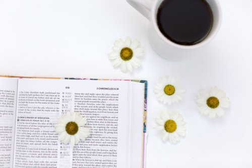 KJV Cross Reference Study Bible [Marmalade Blossoms]