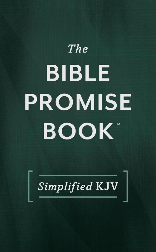 Bible Promise Book