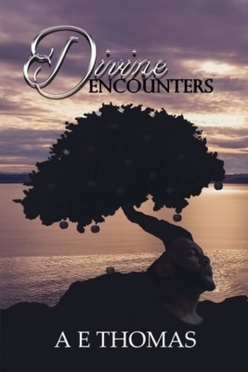 Divine Encounters