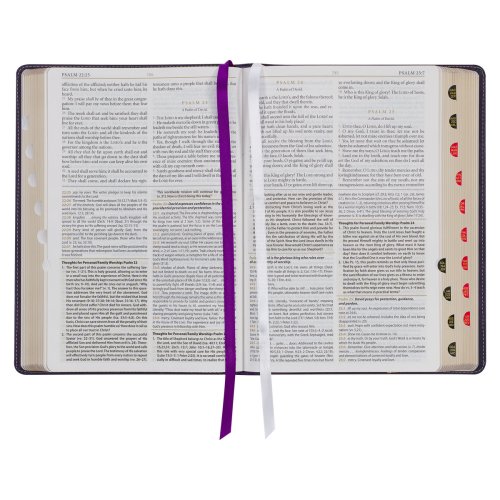 Two-tone Purple Faux Leather Large Print King James Version Study Bible with Thumb Index