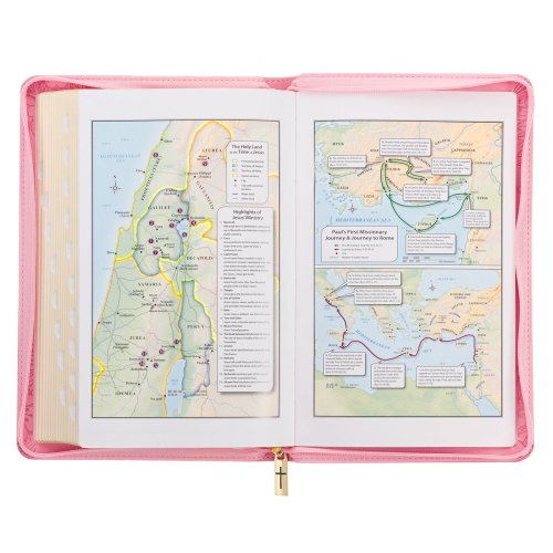 KJV Holy Bible, Standard Size Faux Leather Red Letter Edition - Thumb Index & Ribbon Marker, King James Version, Pink Floral Zipper Closure