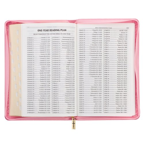 KJV Holy Bible, Standard Size Faux Leather Red Letter Edition - Thumb Index & Ribbon Marker, King James Version, Pink Floral Zipper Closure