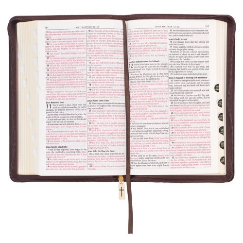 KJV Holy Bible, Standard Size Faux Leather Red Letter Edition - Thumb Index & Ribbon Marker, King James Version, Brown Lion Zipper Closure