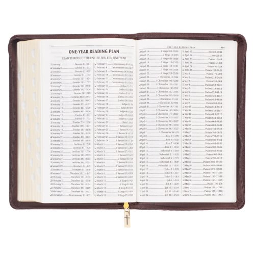 KJV Holy Bible, Standard Size Faux Leather Red Letter Edition - Thumb Index & Ribbon Marker, King James Version, Brown Lion Zipper Closure