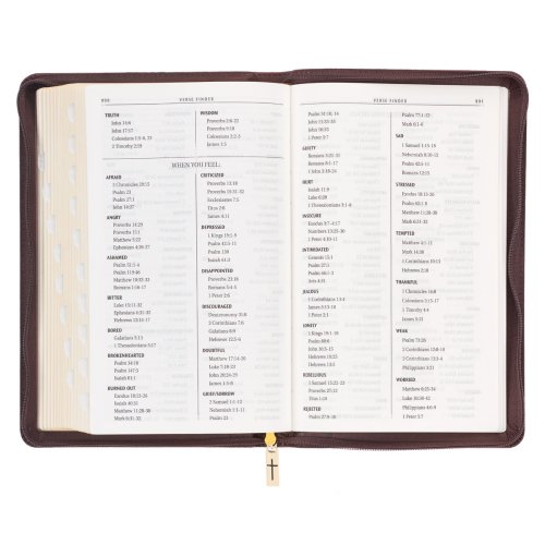 KJV Holy Bible, Standard Size Faux Leather Red Letter Edition - Thumb Index & Ribbon Marker, King James Version, Brown Lion Zipper Closure