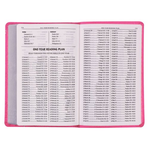 KJV Holy Bible, Gift Edition King James Version, Faux Leather Flexible Cover, Pink Floral Vine