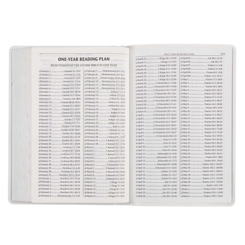 KJV, Large Print Thinline Bible with Thumb Index