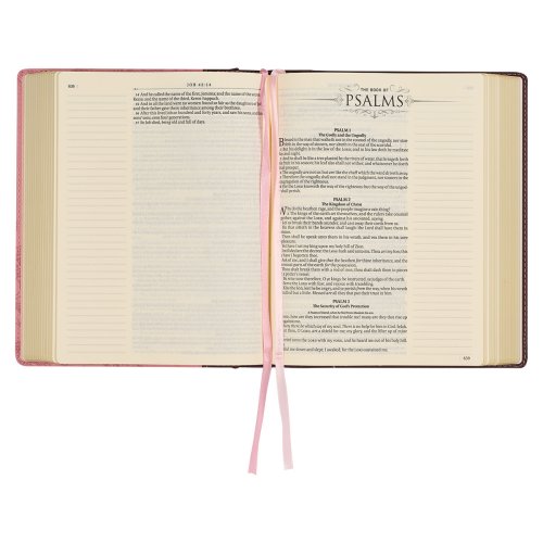 KJV Note-taking Bible Faux Leather HC, Brown/Pink