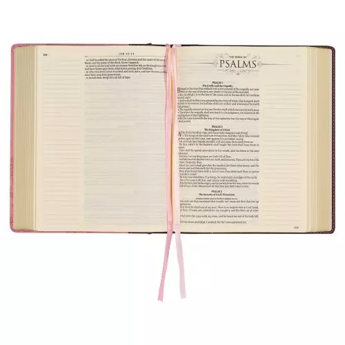 KJV Note-taking Bible Faux Leather HC, Brown/Pink