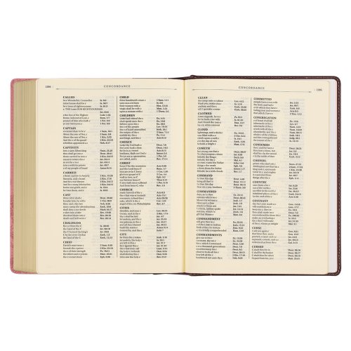 KJV Note-taking Bible Faux Leather HC, Brown/Pink