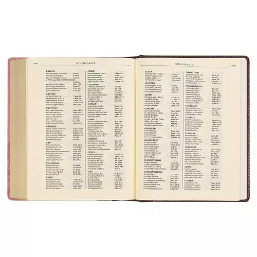 KJV Note-taking Bible Faux Leather HC, Brown/Pink