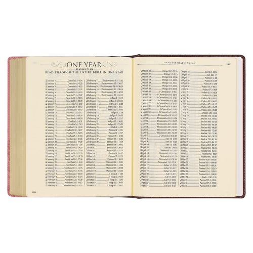 KJV Note-taking Bible Faux Leather HC, Brown/Pink