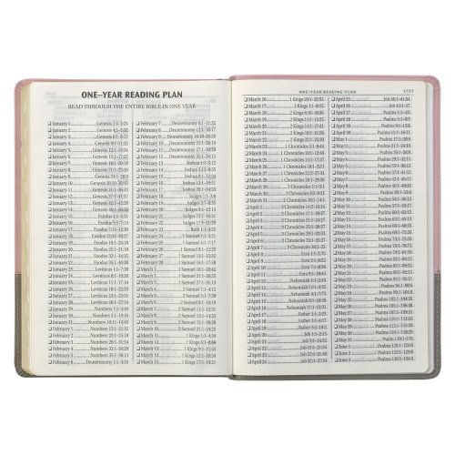 KJV Super Giant Print Bible Two-Tone Pink and Gray Faux Leather