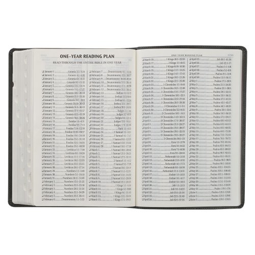 KJV Bible Super Giant Print Faux Leather, Gray/Black