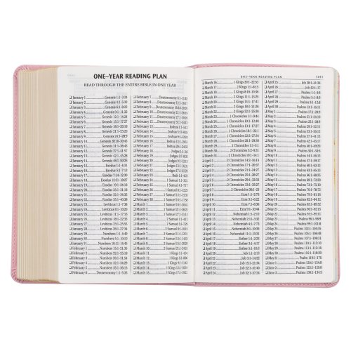 KJV Bible Compact LP Faux Leather, Pink