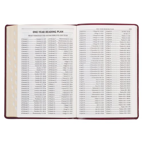 KJV Bible Thinline LP Faux Leather, Burgundy