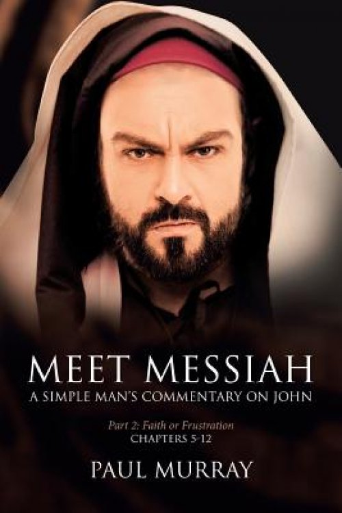 Faith or Frustration: Series - Meet Messiah: A Simple Man's Commentary on John Part 2, Chapters 5-12