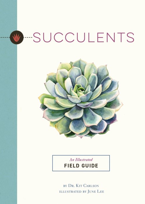 Succulents