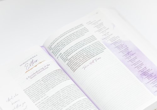 Living the Word Catholic Women's Bible