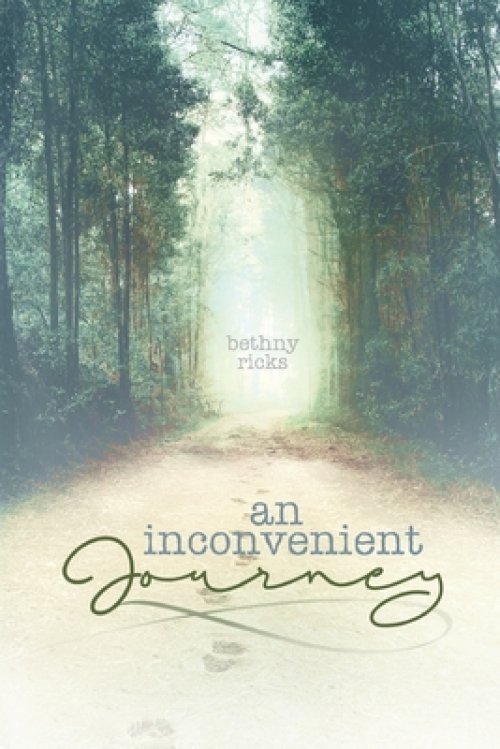 an inconvenient journey