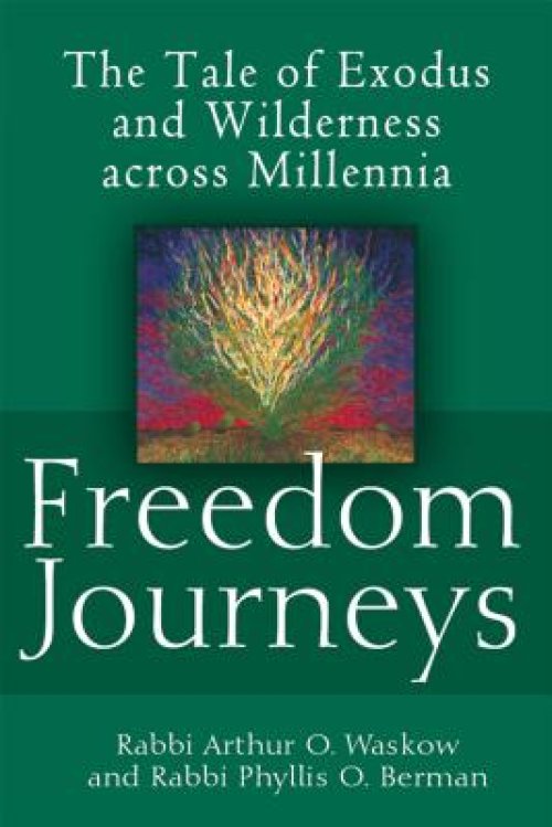 Freedom Journeys: The Tale of Exodus and Wilderness Across Millennia