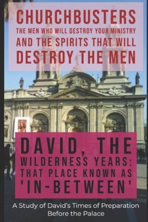 David: The Wilderness Years (That Place Known as In-Between) - A Study of David's Times of Preparation Before the Palace