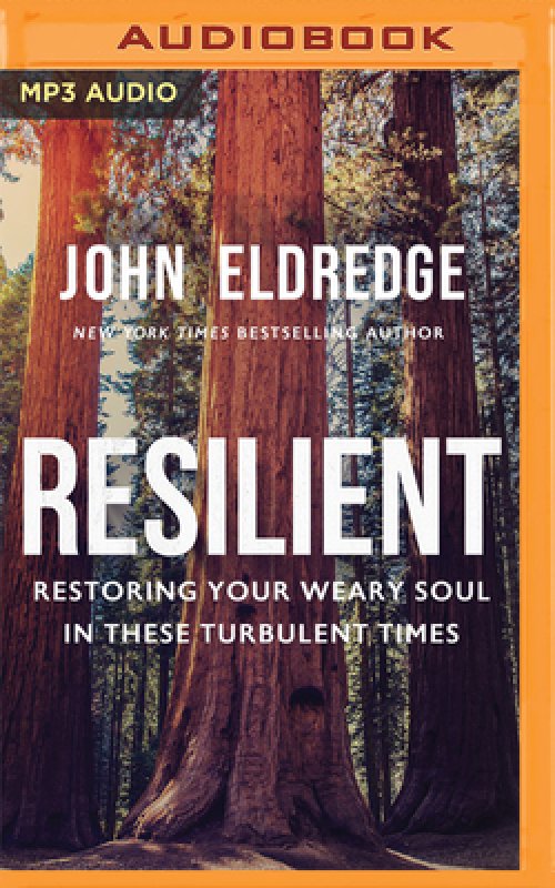 Resilient: Restoring Your Weary Soul in These Turbulent Times