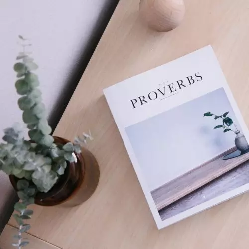 NLT Alabaster Book of Proverbs, White, Paperback