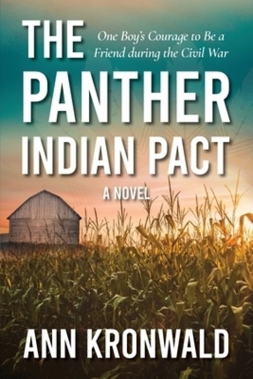 The Panther Indian Pact: One Boy's Courage to Be a Friend during the Civil War