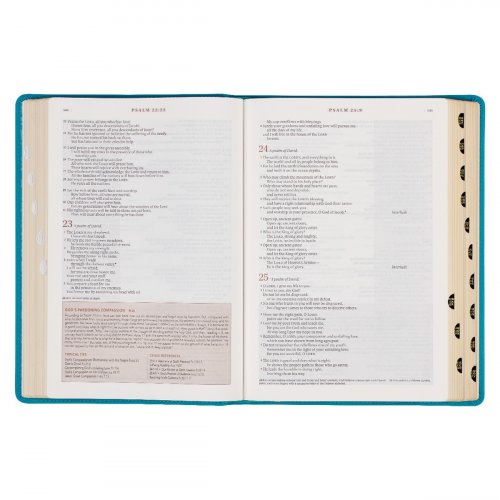 NLT Spiritual Growth Bible, Teal, Imitation Leather, Articles, Book Introductions, Character Profiles, Cross-References, Topical Index, Presentation Page, Ribbon Markers, Thumb Index, Gilt Edge