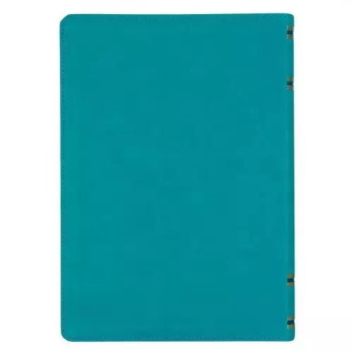 NLT Spiritual Growth Bible, Teal, Imitation Leather, Articles, Book Introductions, Character Profiles, Cross-References, Topical Index, Presentation Page, Ribbon Markers, Thumb Index, Gilt Edge