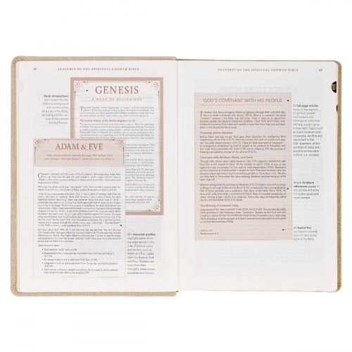 NLT Spiritual Growth Bible, Taupe, Imitation Leather, Articles, Book Introductions, Character Profiles, Cross-References, Topical Index, Presentation Page, Ribbon Markers, Thumb Index, Gilt Edge