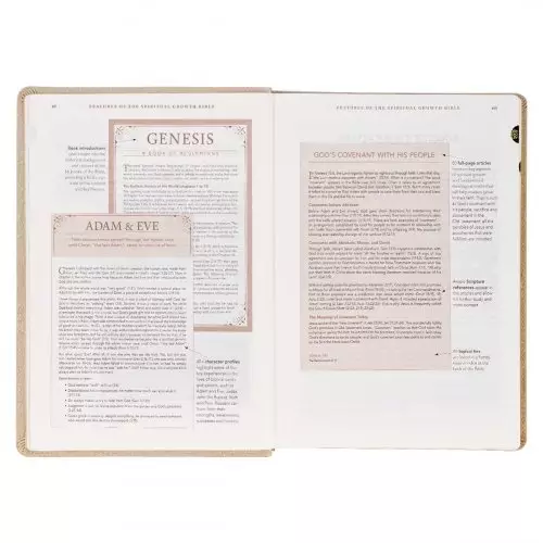 NLT Spiritual Growth Bible, Taupe, Imitation Leather, Articles, Book Introductions, Character Profiles, Cross-References, Topical Index, Presentation Page, Ribbon Markers, Thumb Index, Gilt Edge