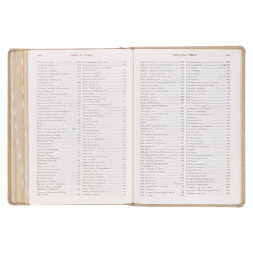 NLT Spiritual Growth Bible, Taupe, Imitation Leather, Articles, Book Introductions, Character Profiles, Cross-References, Topical Index, Presentation Page, Ribbon Markers, Thumb Index, Gilt Edge