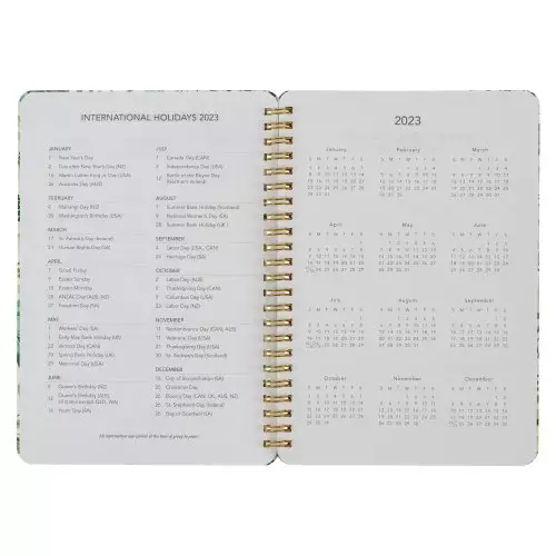 2023 Wirebound Daily Planner I Know the Plans