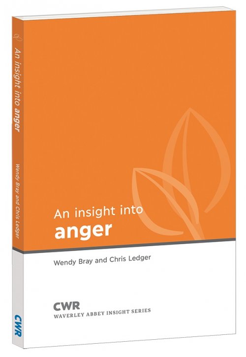 Insight into Anger