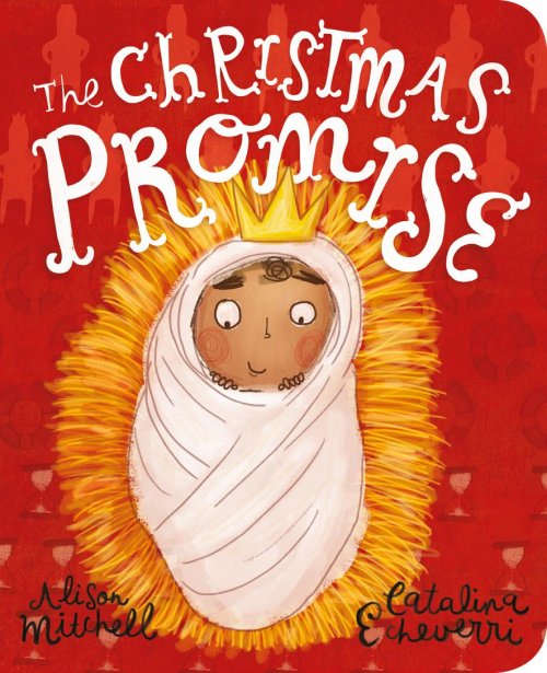 The Christmas Promise Board Book