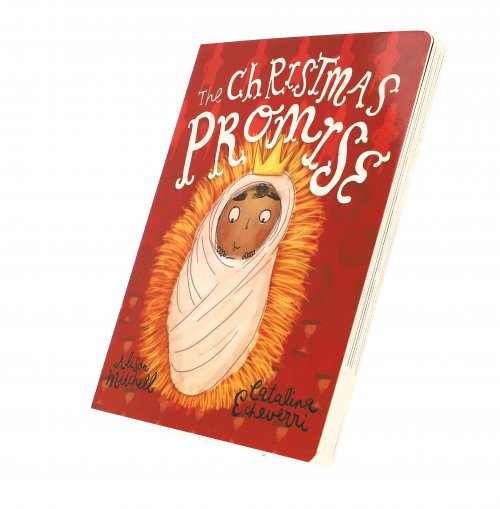 The Christmas Promise Board Book